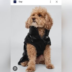 GAP Black Dog Vest